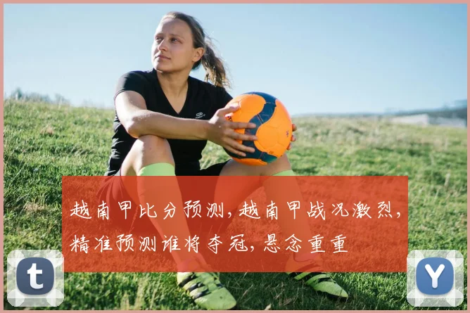 越南甲比分预测,越南甲战况激烈,精准预测谁将夺冠,悬念重重