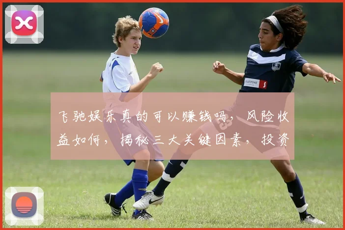 飞驰娱乐真的可以赚钱吗，风险收益如何，揭秘三大关键因素，投资必看