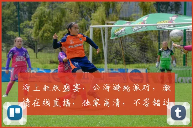 海上狂欢盛宴，公海游轮派对，激情在线直播，独家高清，不容错过，一睹为快