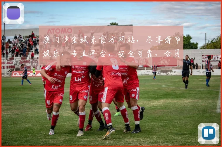澳门沙金娱乐官方网站，尽享奢华娱乐，专业平台，安全可靠，会员尊享，精彩不断