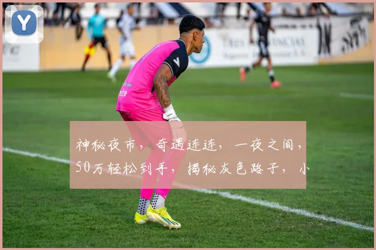 神秘夜市，奇遇连连，一夜之间，50万轻松到手，揭秘灰色路子，小心谨慎行